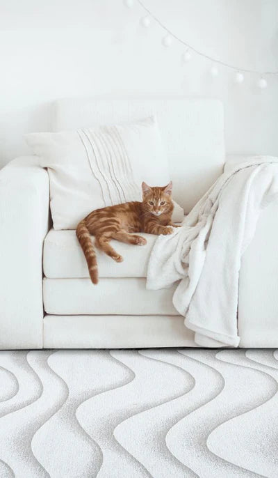 Covor Sabbia Beige – Magic Home, bej sofisticat & practic